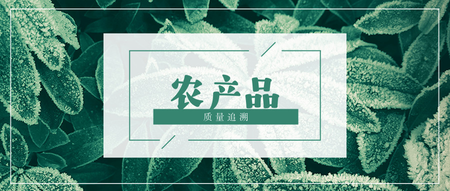 农产品质量追溯文字与绿叶配景