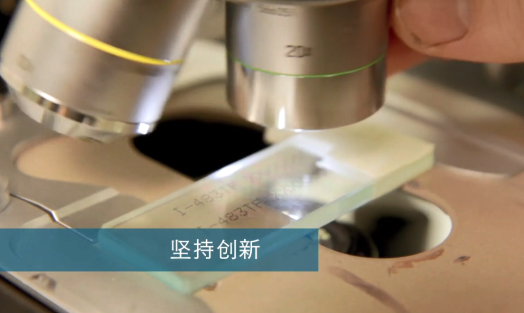 尊龙凯时人生就是搏团队，全力以赴为您提供理想的解决计划