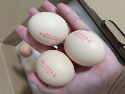 浏览全球网络，您还能找到比这个更周全的鸡蛋喷码机解决计划吗？