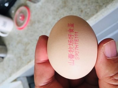 浏览全球网络，您还能找到比这个更周全的鸡蛋喷码机解决计划吗？