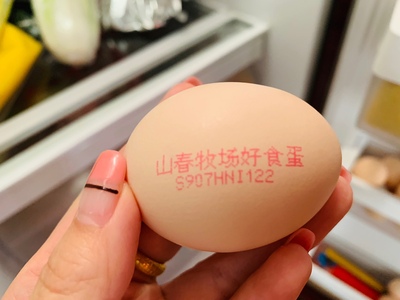 浏览全球网络，您还能找到比这个更周全的鸡蛋喷码机解决计划吗？