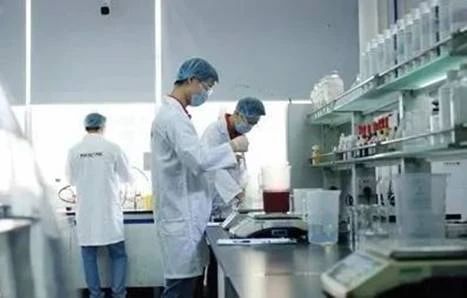 推进手艺立异，实现行业新突破
